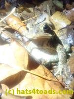 /home//u458753944/public_html/sourcegallery////////////////McKaig Nature Center/2024-09-27/P9271603.JPG